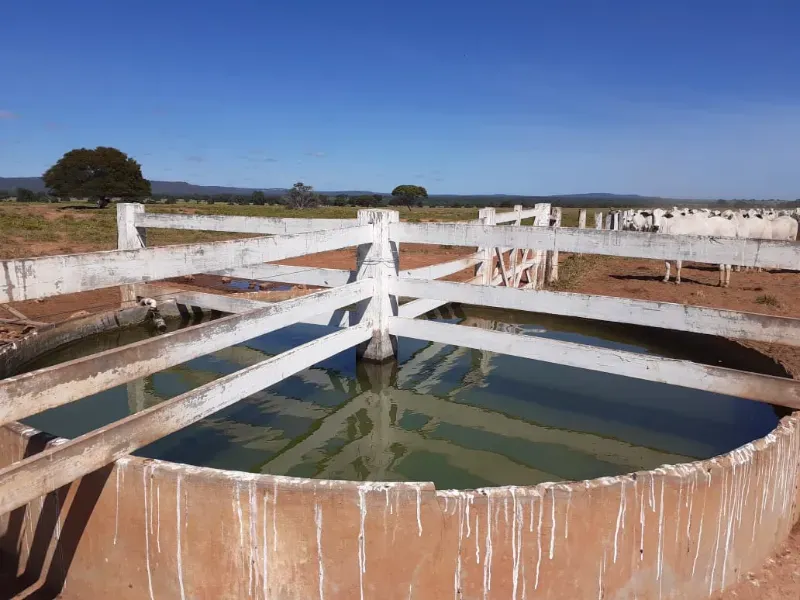 Fazenda em Januária/Minas Gerais — Ref OG8GJC — Imagem 7