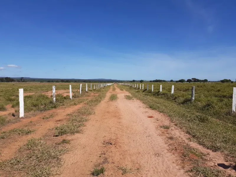 Fazenda em Januária/Minas Gerais — Ref OG8GJC — Imagem 8