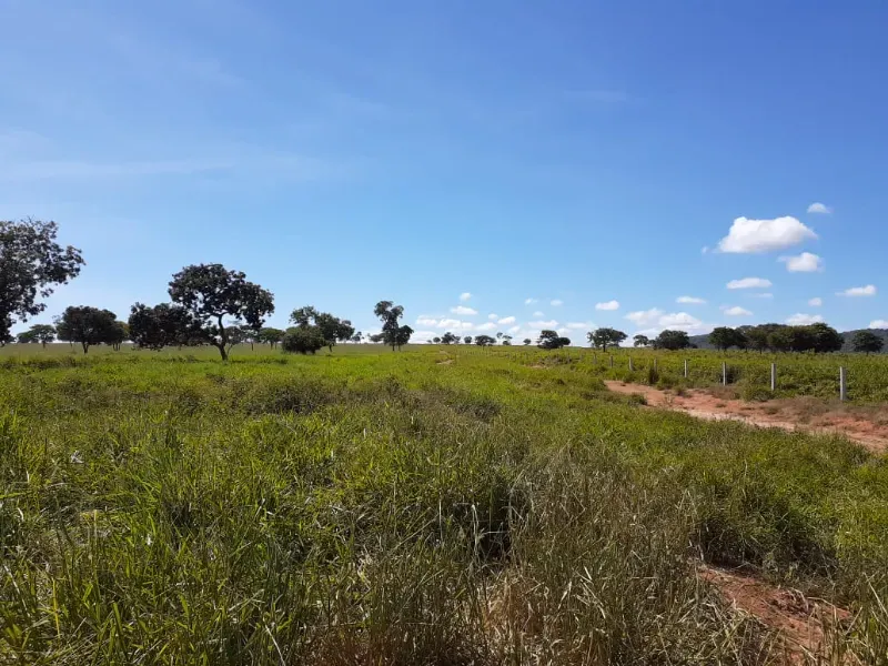 Fazenda em Januária/Minas Gerais — Ref OG8GJC — Imagem 10
