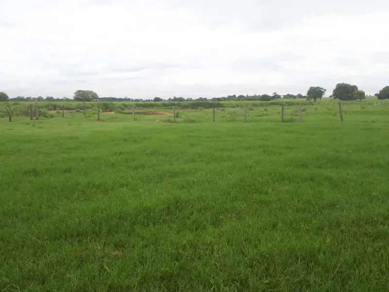 Fazenda em Januária/Minas Gerais — Ref OG8GJC — Imagem 11