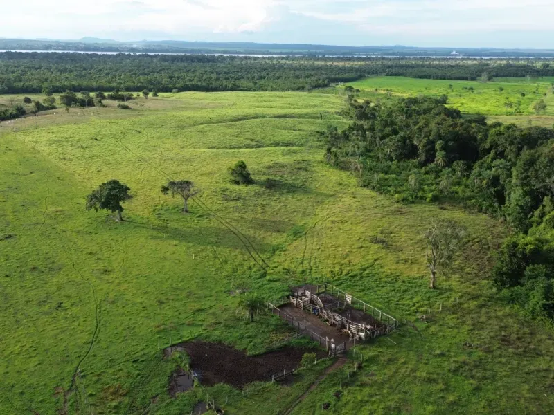 Fazenda em Pau D'Arco/Tocantins — Ref SF0VDV — Imagem 3