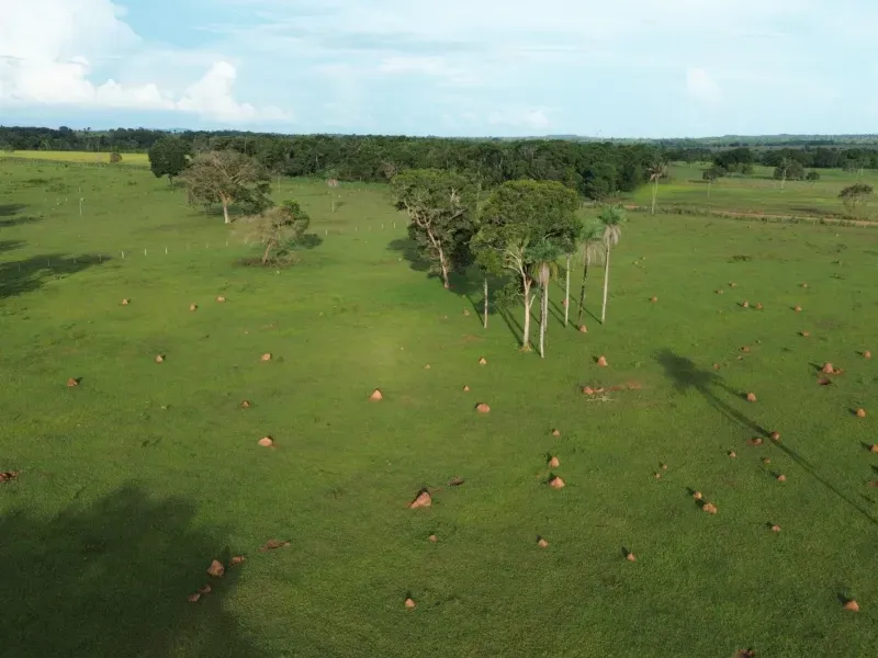 Fazenda em Pau D'Arco/Tocantins — Ref SF0VDV — Imagem 4