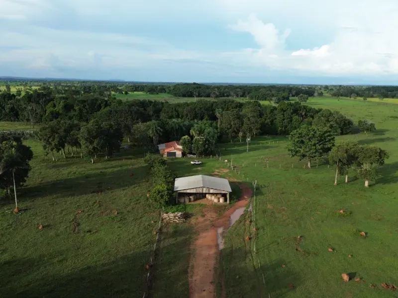 Fazenda em Pau D'Arco/Tocantins — Ref SF0VDV — Imagem 5