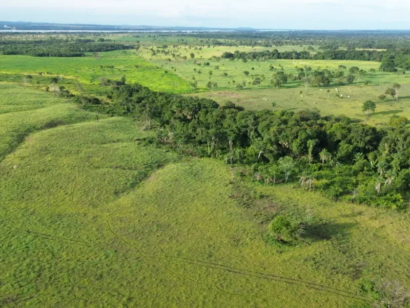 Fazenda em Pau D'Arco/Tocantins — Ref SF0VDV — Imagem 6