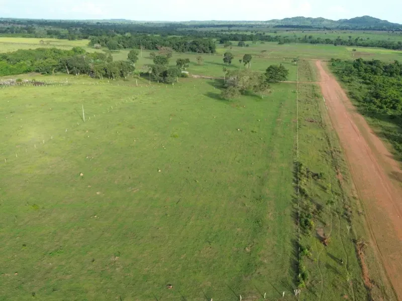 Fazenda em Pau D'Arco/Tocantins — Ref SF0VDV — Imagem 7
