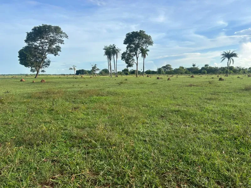 Fazenda em Pau D'Arco/Tocantins — Ref SF0VDV — Imagem 8