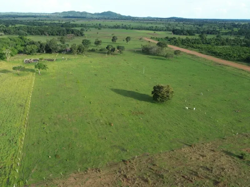 Fazenda em Pau D'Arco/Tocantins — Ref SF0VDV — Imagem 9