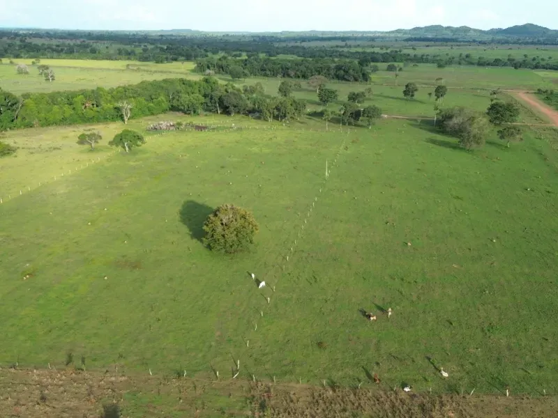 Fazenda em Pau D'Arco/Tocantins — Ref SF0VDV — Imagem 10