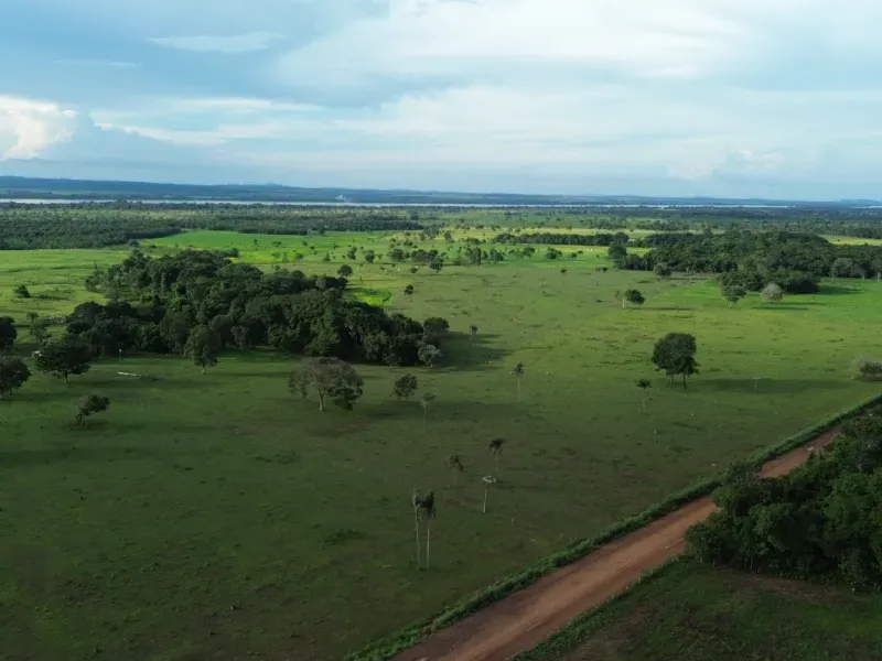 Fazenda em Pau D'Arco/Tocantins — Ref SF0VDV — Imagem 12