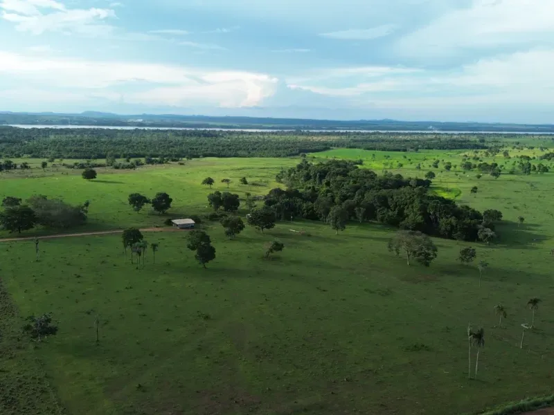 Fazenda em Pau D'Arco/Tocantins — Ref SF0VDV — Imagem 13