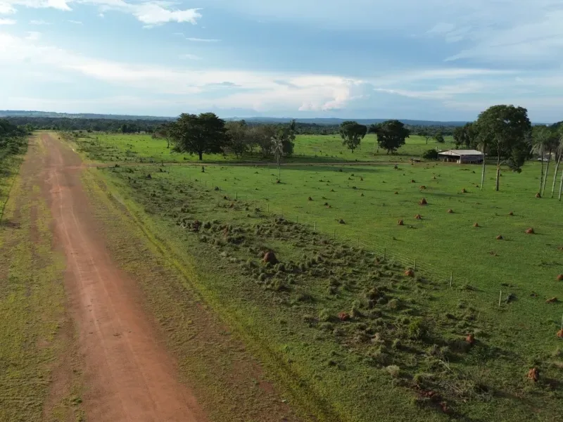 Fazenda em Pau D'Arco/Tocantins — Ref SF0VDV — Imagem 14