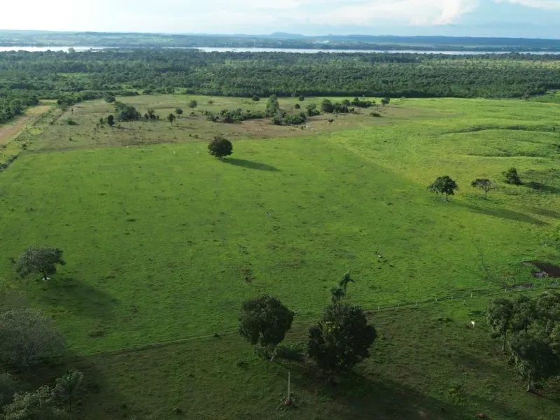 Fazenda em Pau D'Arco/Tocantins — Ref SF0VDV — Imagem 15