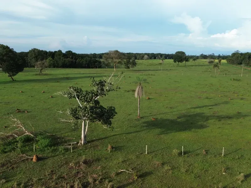 Fazenda em Pau D'Arco/Tocantins — Ref SF0VDV — Imagem 16