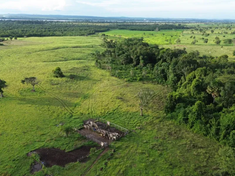 Fazenda em Pau D'Arco/Tocantins — Ref SF0VDV — Imagem 17