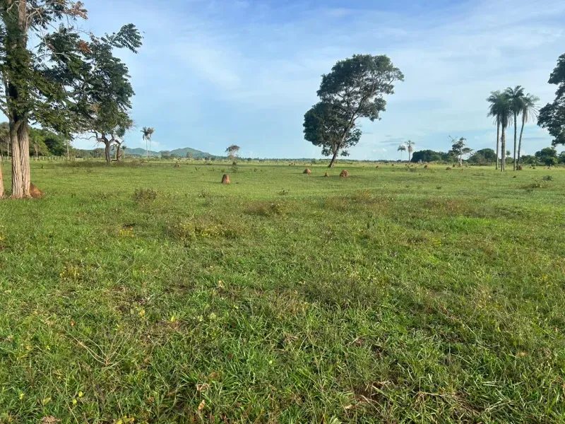 Fazenda em Pau D'Arco/Tocantins — Ref SF0VDV — Imagem 18
