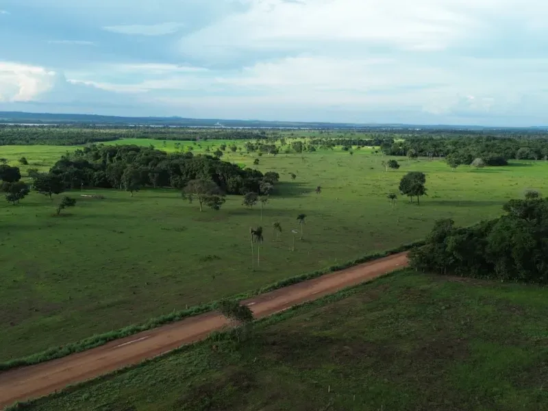 Fazenda em Pau D'Arco/Tocantins — Ref SF0VDV — Imagem 19