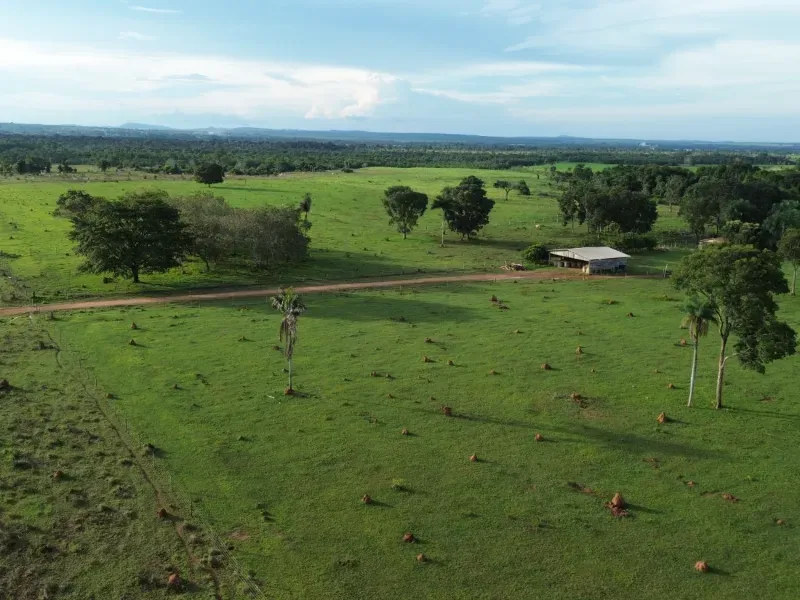 Fazenda em Pau D'Arco/Tocantins — Ref SF0VDV — Imagem 20