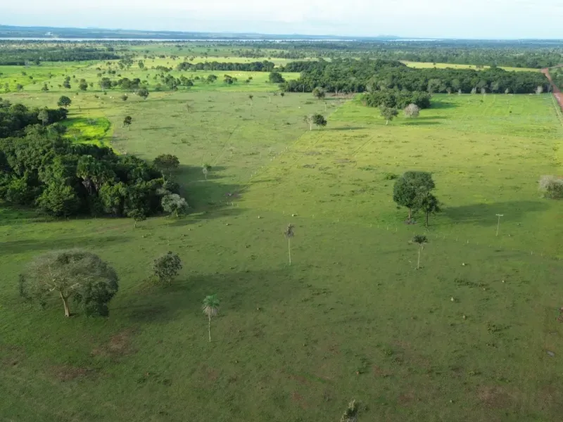 Fazenda em Pau D'Arco/Tocantins — Ref SF0VDV — Imagem 23