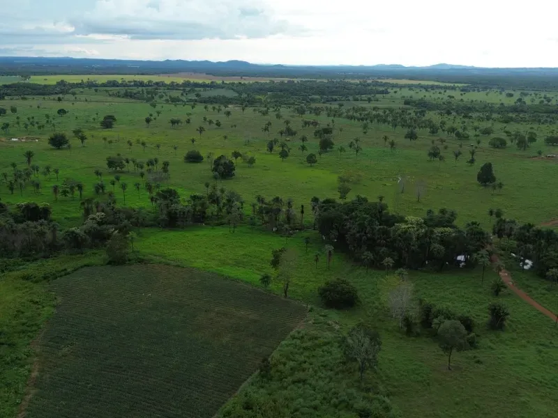 Fazenda em Pau D'Arco/Tocantins — Ref LE8F42 — Imagem 4