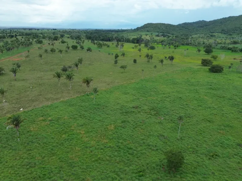 Fazenda em Pau D'Arco/Tocantins — Ref LE8F42 — Imagem 5