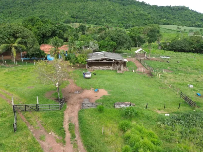 Fazenda em Pau D'Arco/Tocantins — Ref LE8F42 — Imagem 7