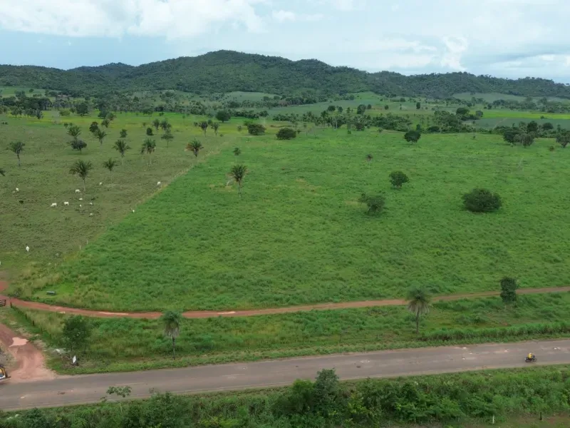 Fazenda em Pau D'Arco/Tocantins — Ref LE8F42 — Imagem 8