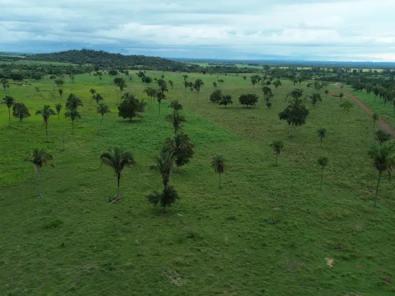 Fazenda em Pau D'Arco/Tocantins — Ref LE8F42 — Imagem 10