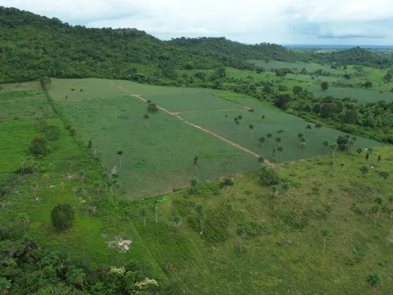 Fazenda em Pau D'Arco/Tocantins — Ref LE8F42 — Imagem 11