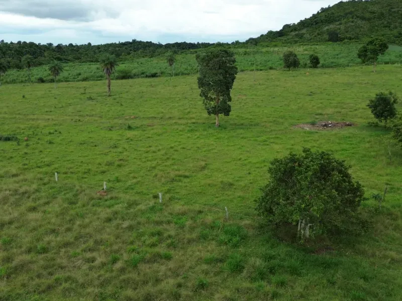 Fazenda em Pau D'Arco/Tocantins — Ref LE8F42 — Imagem 12