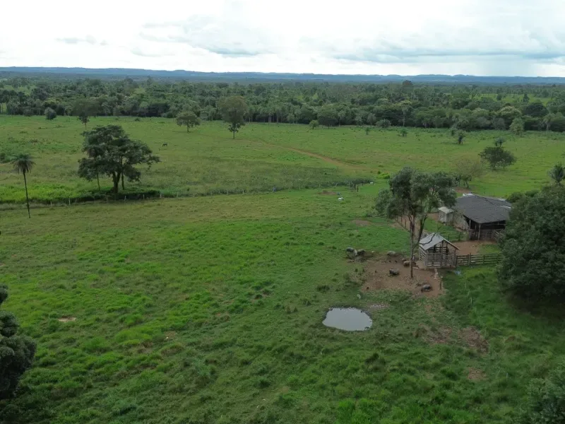 Fazenda em Pau D'Arco/Tocantins — Ref LE8F42 — Imagem 15