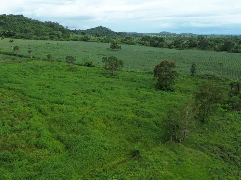 Fazenda em Pau D'Arco/Tocantins — Ref LE8F42 — Imagem 16