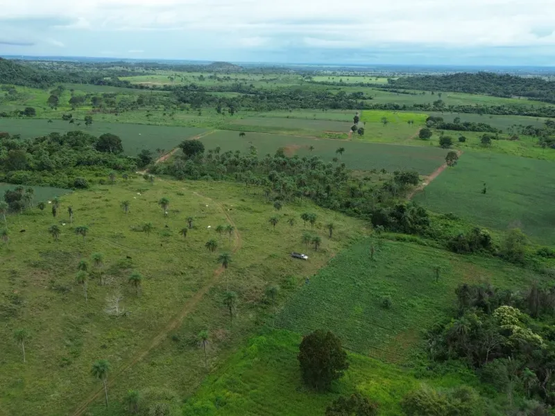 Fazenda em Pau D'Arco/Tocantins — Ref LE8F42 — Imagem 17