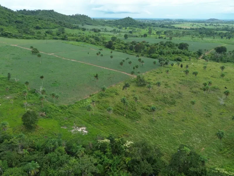 Fazenda em Pau D'Arco/Tocantins — Ref LE8F42 — Imagem 19