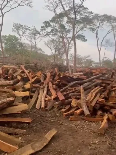 Fazenda em Barrolândia/Tocantins — Ref 6RVUE0 — Imagem 2