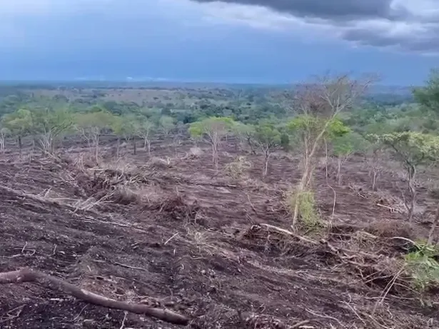 Fazenda em Barrolândia/Tocantins — Ref 6RVUE0 — Imagem 5