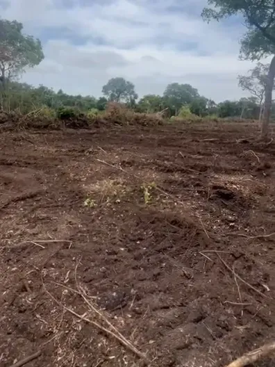 Fazenda em Barrolândia/Tocantins — Ref 6RVUE0 — Imagem 6