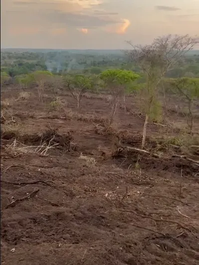 Fazenda em Barrolândia/Tocantins — Ref 6RVUE0 — Imagem 7