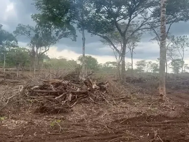 Fazenda em Barrolândia/Tocantins — Ref 6RVUE0 — Imagem 9