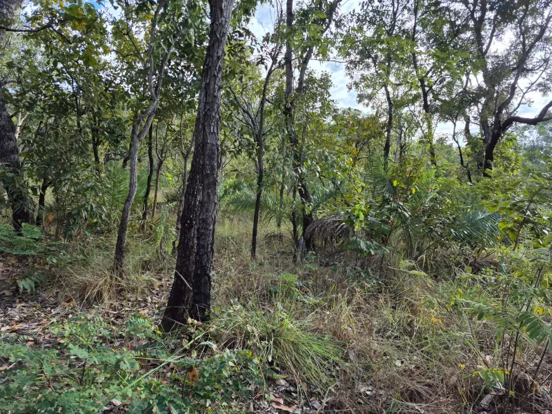 Fazenda em Santa Tereza do Tocantins/Tocantins — Ref JJNEBX — Imagem 3