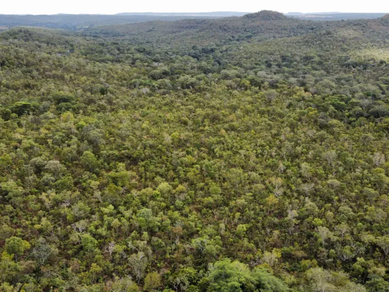 Fazenda em Santa Tereza do Tocantins/Tocantins — Ref JJNEBX — Imagem 7