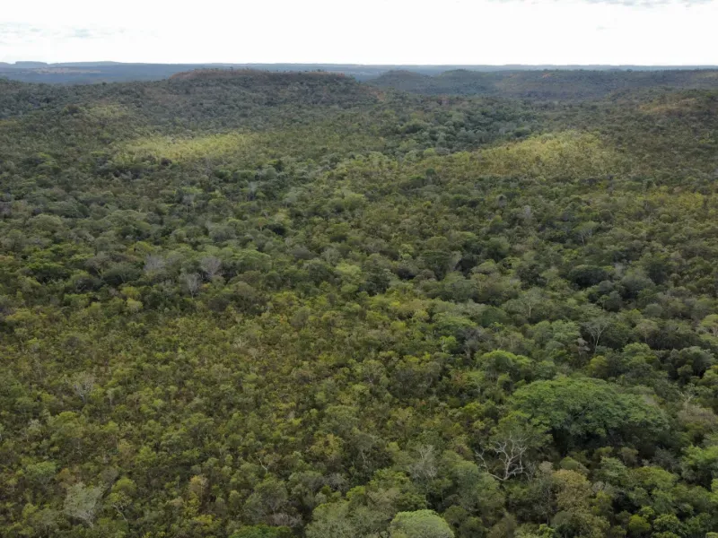 Fazenda em Santa Tereza do Tocantins/Tocantins — Ref JJNEBX — Imagem 8