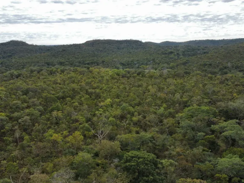 Fazenda em Santa Tereza do Tocantins/Tocantins — Ref JJNEBX — Imagem 9