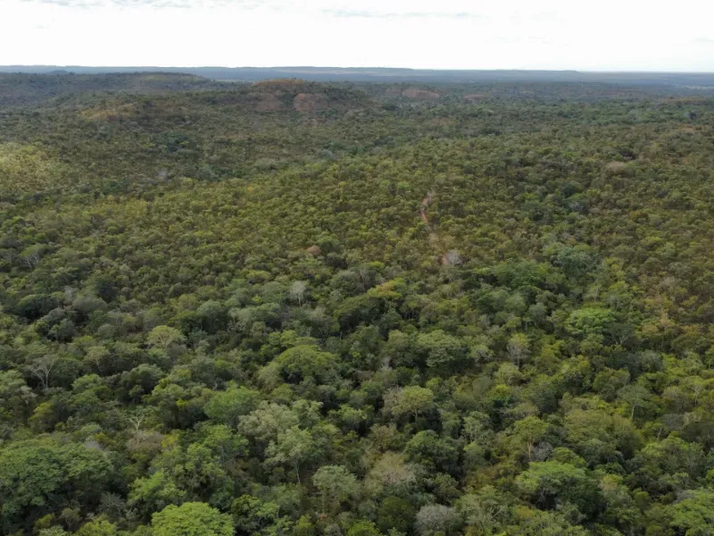 Fazenda em Santa Tereza do Tocantins/Tocantins — Ref JJNEBX — Imagem 11