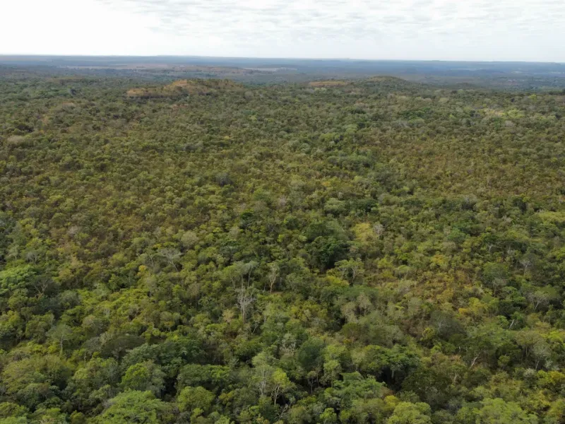 Fazenda em Santa Tereza do Tocantins/Tocantins — Ref JJNEBX — Imagem 12