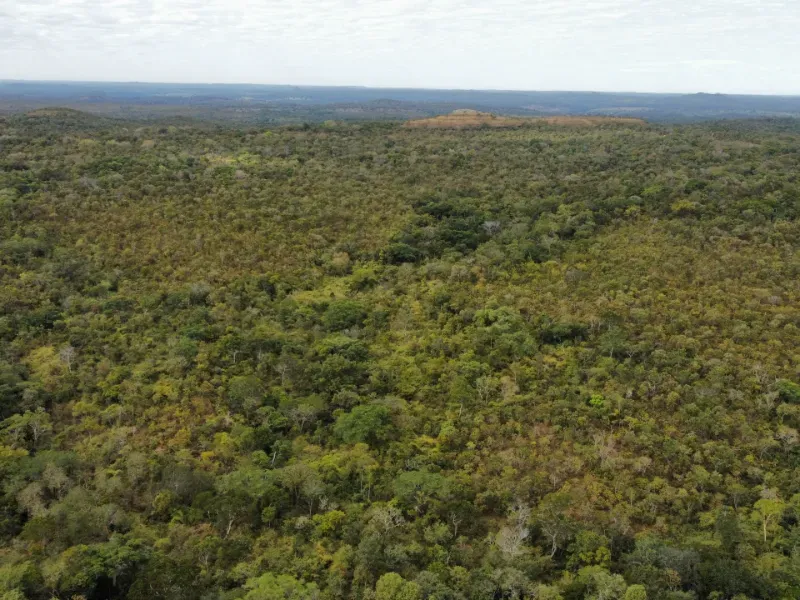 Fazenda em Santa Tereza do Tocantins/Tocantins — Ref JJNEBX — Imagem 13