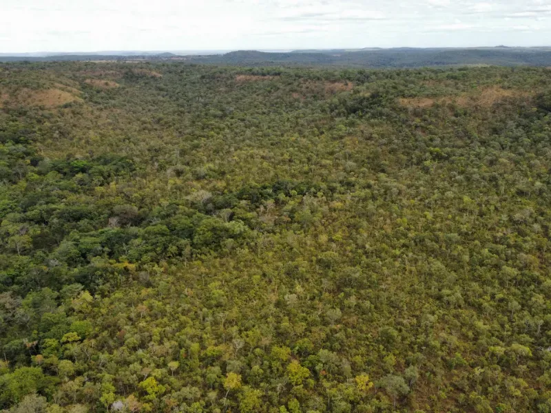 Fazenda em Santa Tereza do Tocantins/Tocantins — Ref JJNEBX — Imagem 14