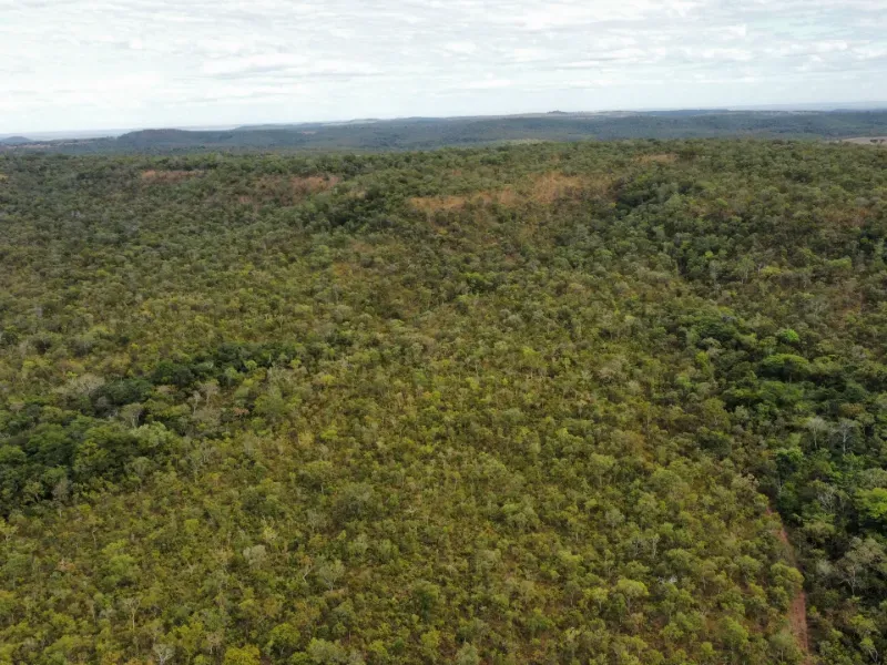 Fazenda em Santa Tereza do Tocantins/Tocantins — Ref JJNEBX — Imagem 15