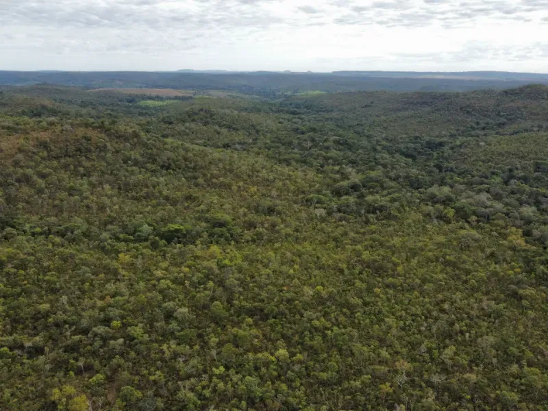 Fazenda em Santa Tereza do Tocantins/Tocantins — Ref JJNEBX — Imagem 16