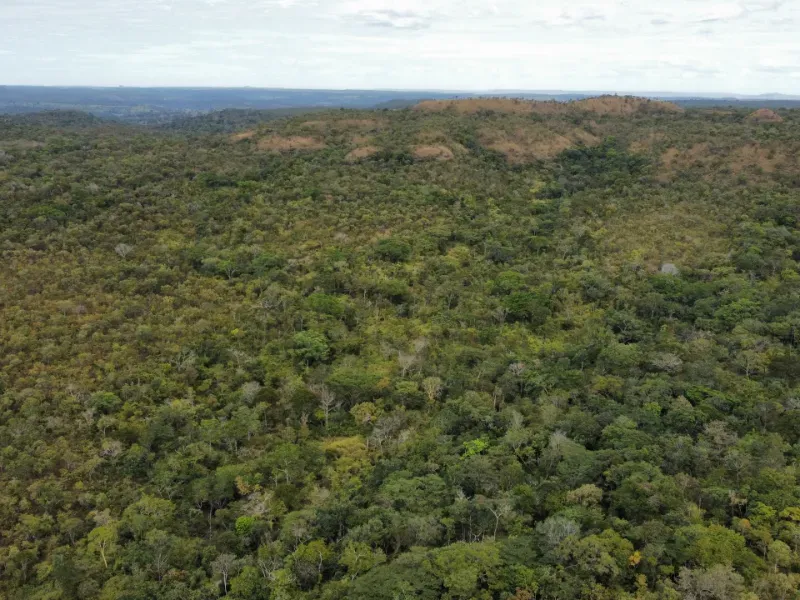 Fazenda em Santa Tereza do Tocantins/Tocantins — Ref JJNEBX — Imagem 17