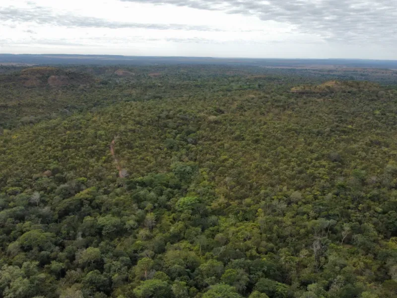 Fazenda em Santa Tereza do Tocantins/Tocantins — Ref JJNEBX — Imagem 18